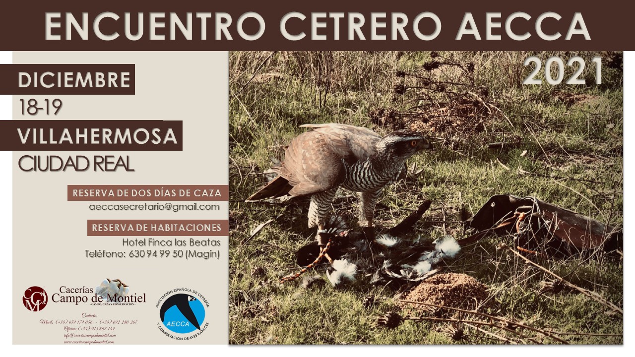 Asociación Española de cetrería y conservación de aves rapaces