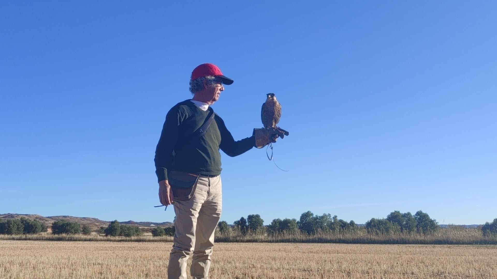 Asociación Española de cetrería y conservación de aves rapaces