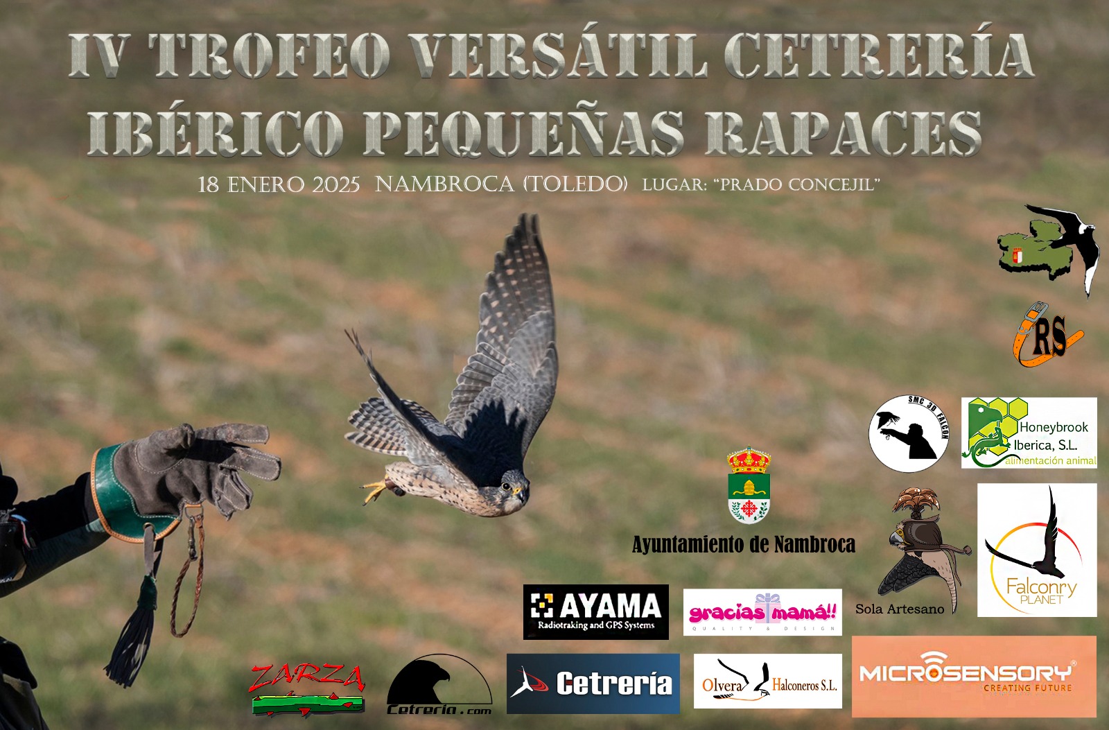 Asociación Española de cetrería y conservación de aves rapaces