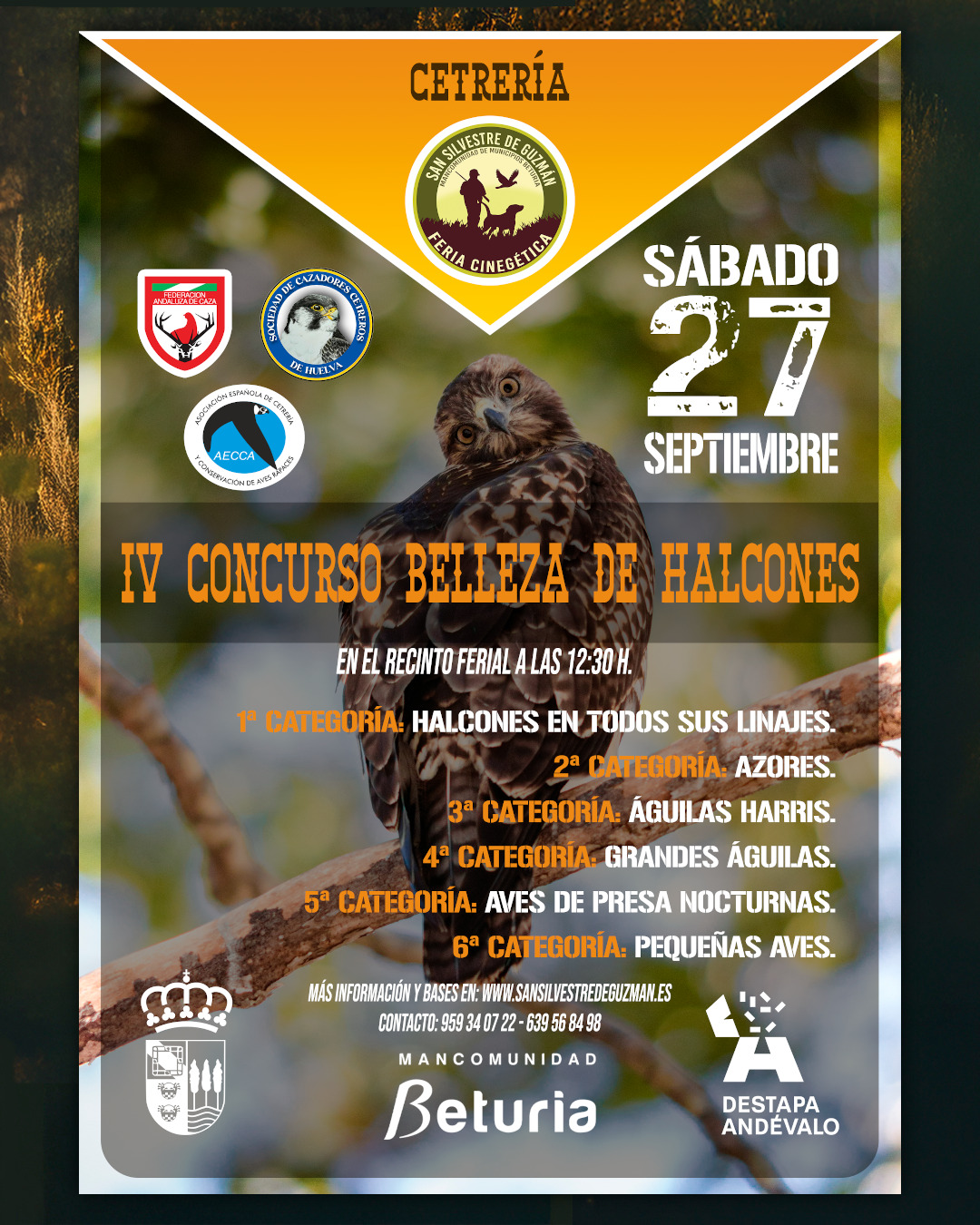 IV Concurso de Belleza de Halcones Asociación Española de cetrería y conservación de aves rapaces
