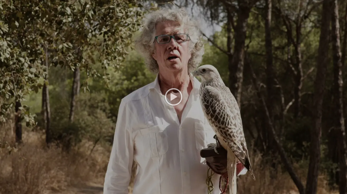 Asociación Española de cetrería y conservación de aves rapaces