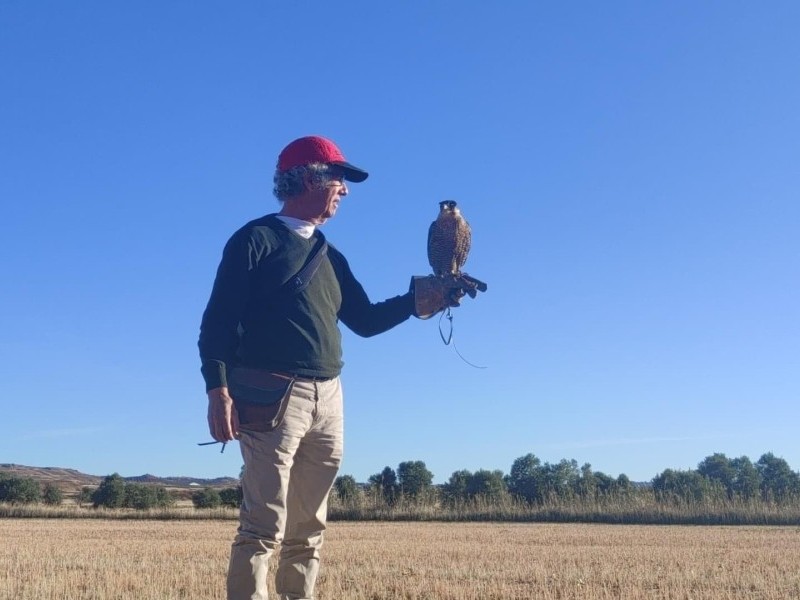 Asociación Española de cetrería y conservación de aves rapaces