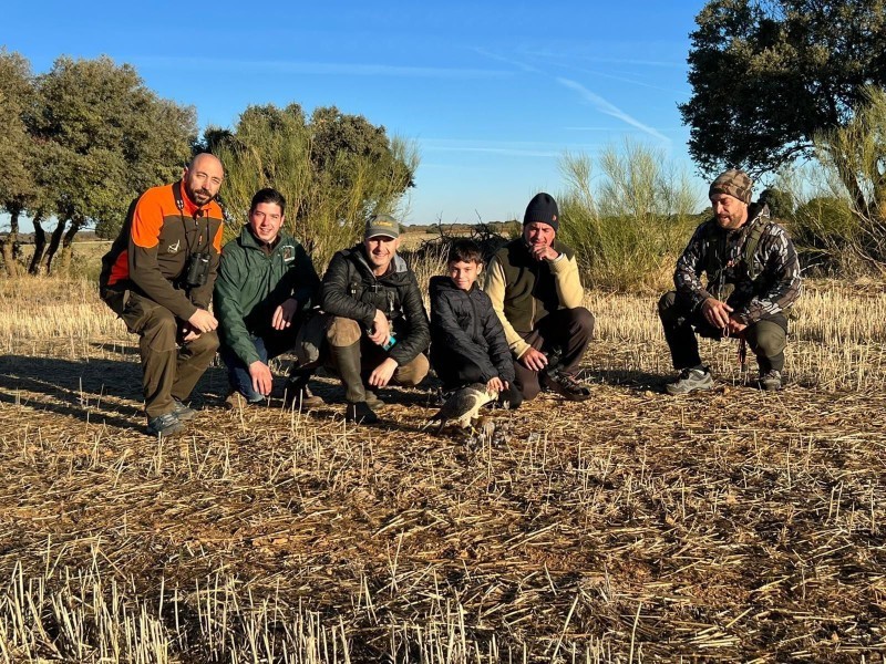 Asociación Española de cetrería y conservación de aves rapaces