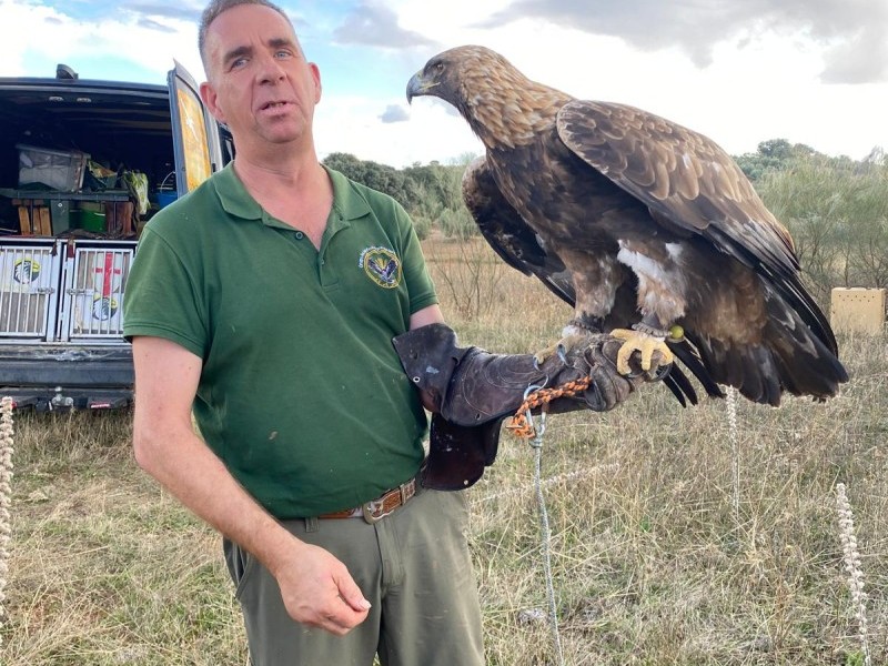 Asociación Española de cetrería y conservación de aves rapaces