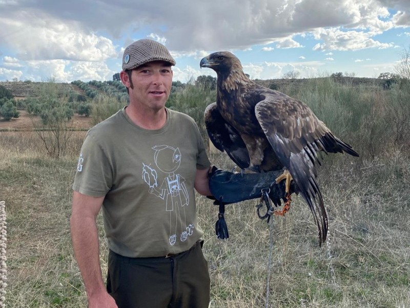 Asociación Española de cetrería y conservación de aves rapaces