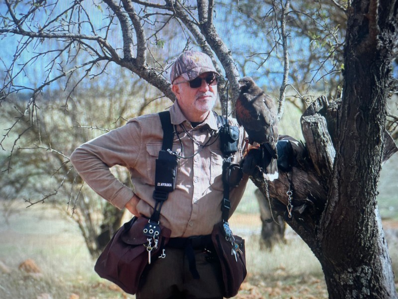 Asociación Española de cetrería y conservación de aves rapaces