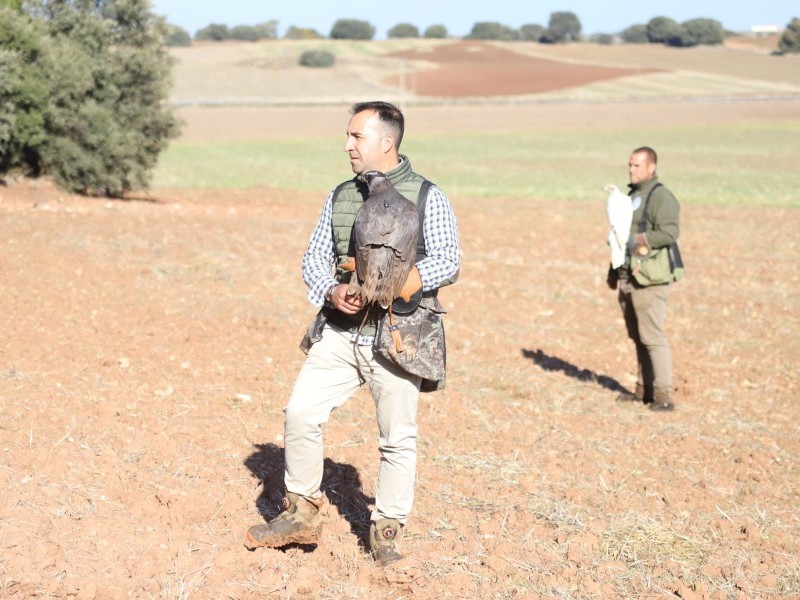 Asociación Española de cetrería y conservación de aves rapaces