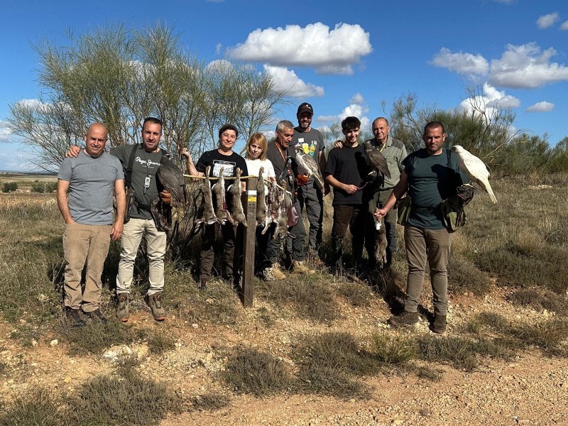 Asociación Española de cetrería y conservación de aves rapaces