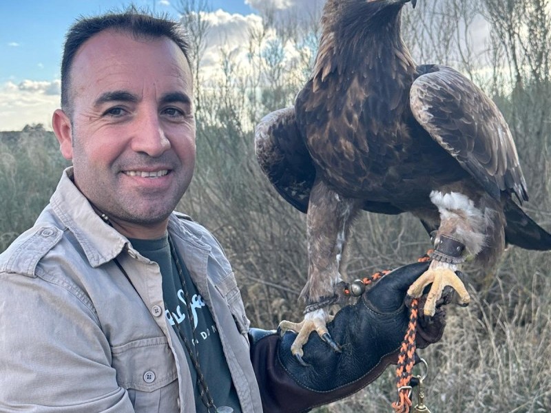 Asociación Española de cetrería y conservación de aves rapaces