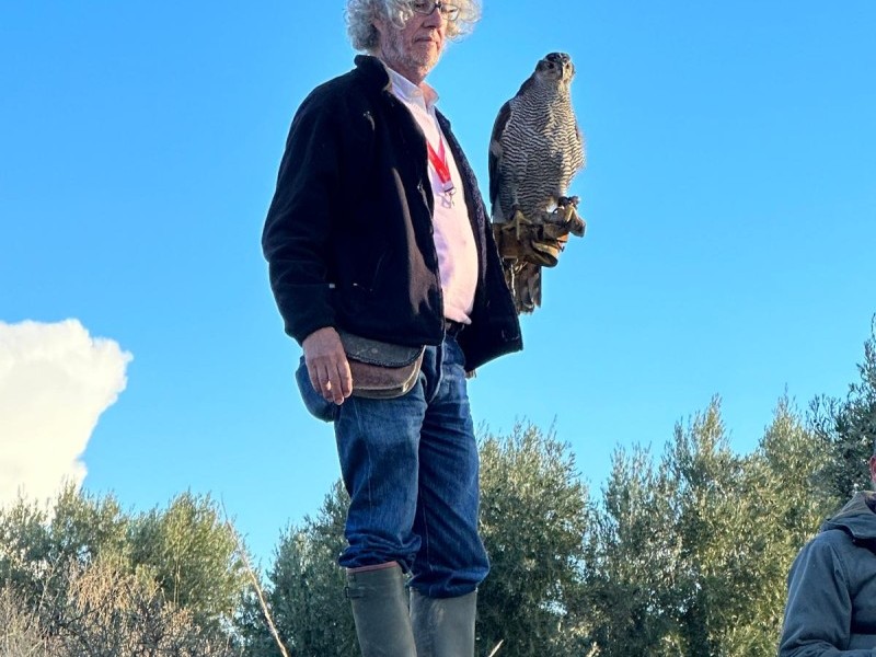 Asociación Española de cetrería y conservación de aves rapaces