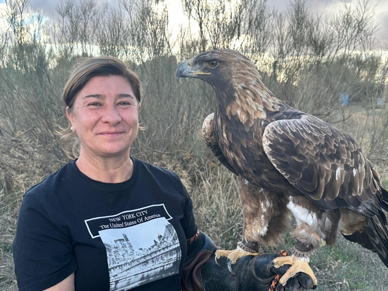 Asociación Española de cetrería y conservación de aves rapaces