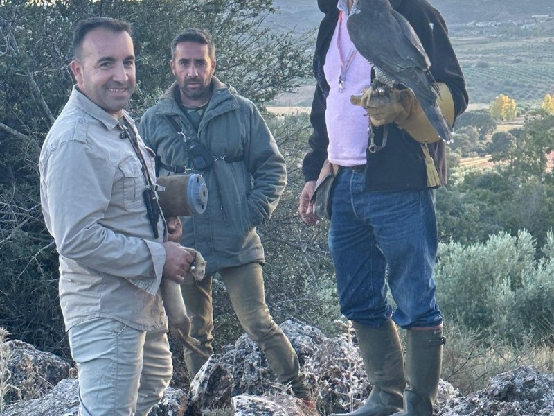 Asociación Española de cetrería y conservación de aves rapaces