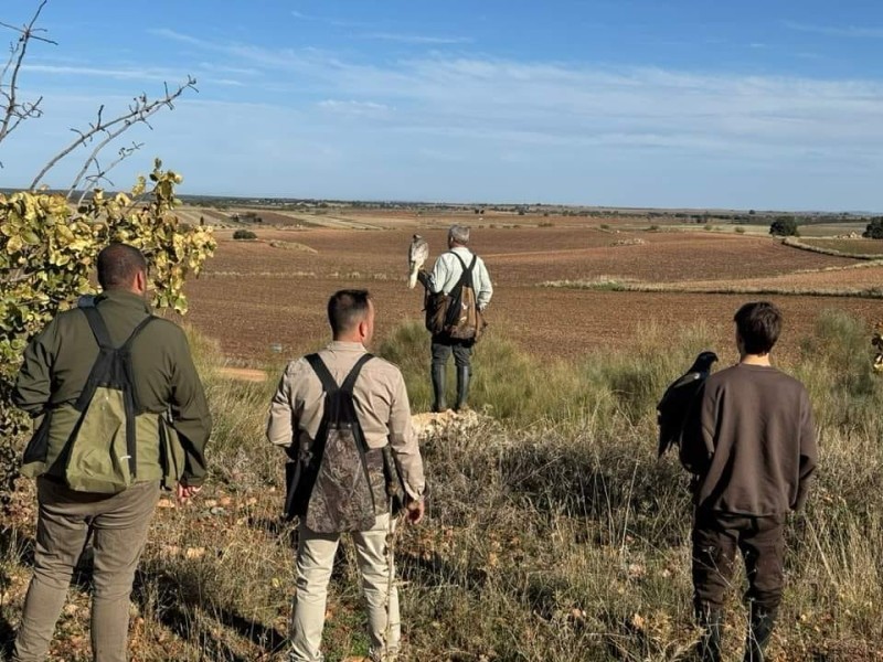 Asociación Española de cetrería y conservación de aves rapaces