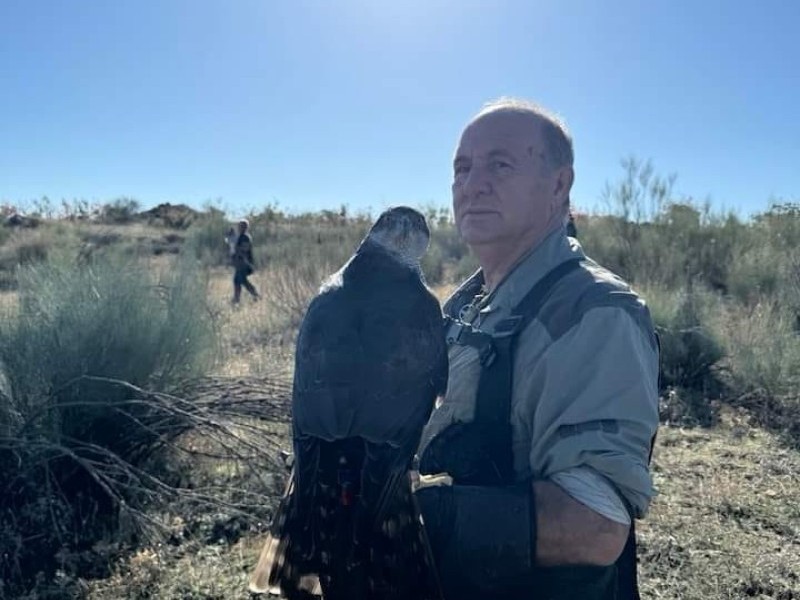 Asociación Española de cetrería y conservación de aves rapaces