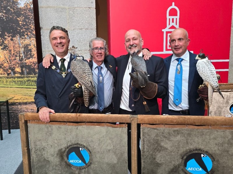 Asociación Española de cetrería y conservación de aves rapaces