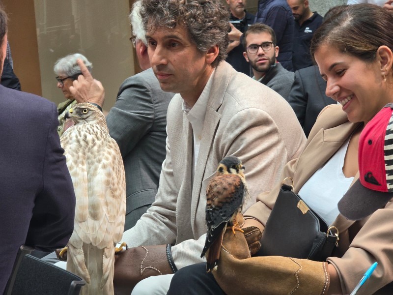 Asociación Española de cetrería y conservación de aves rapaces