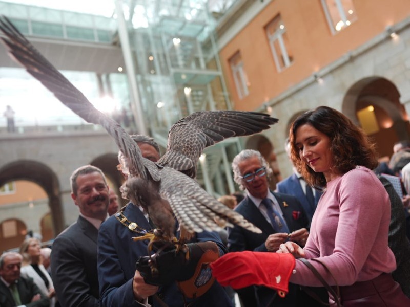Asociación Española de cetrería y conservación de aves rapaces