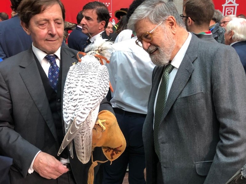 Asociación Española de cetrería y conservación de aves rapaces