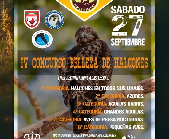 Asociación Española de cetrería y conservación de aves rapaces