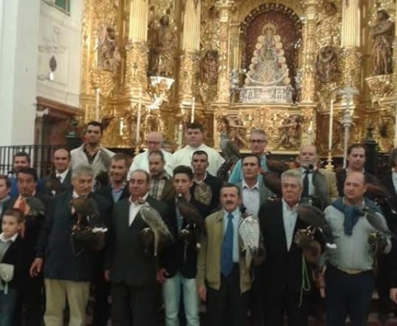 Asociación Española de cetrería y conservación de aves rapaces