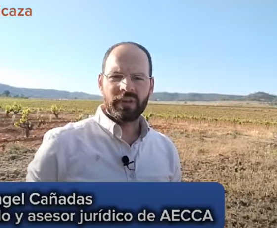 Asociación Española de cetrería y conservación de aves rapaces