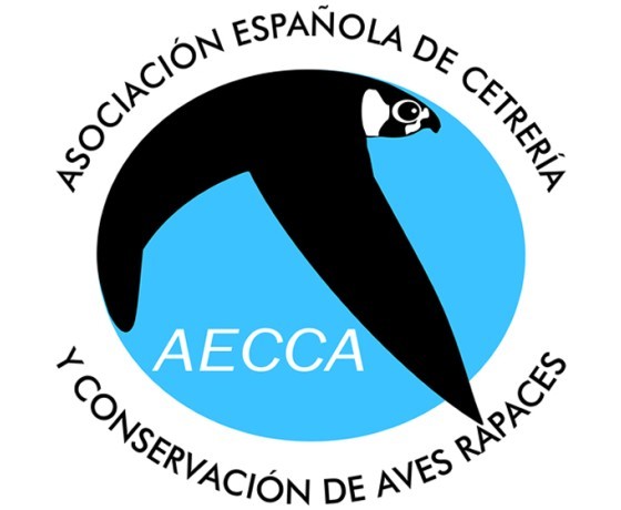 Asociación Española de cetrería y conservación de aves rapaces