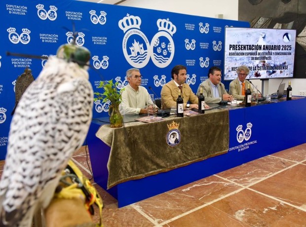 Asociación Española de cetrería y conservación de aves rapaces