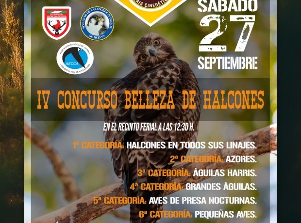 Asociación Española de cetrería y conservación de aves rapaces