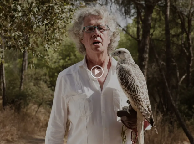 Asociación Española de cetrería y conservación de aves rapaces