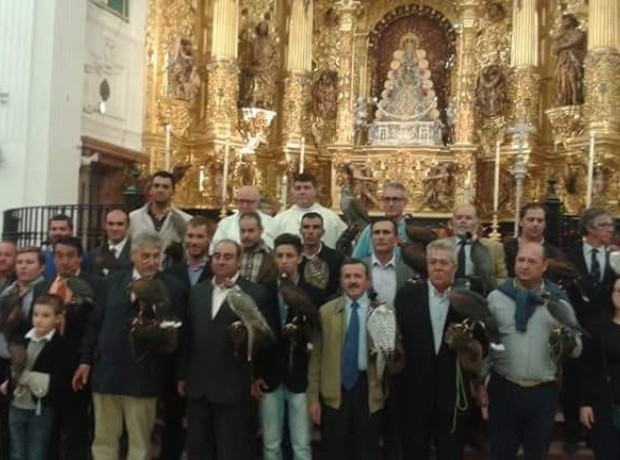 Asociación Española de cetrería y conservación de aves rapaces