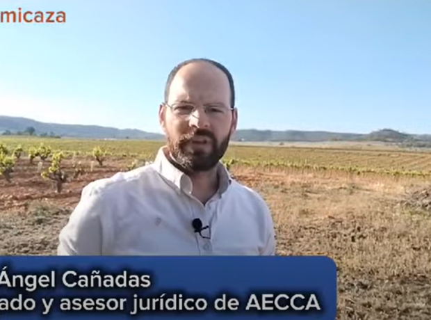 Asociación Española de cetrería y conservación de aves rapaces