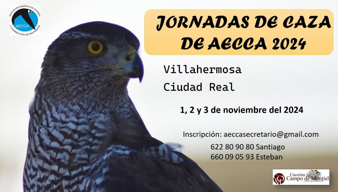 Asociación Española de cetrería y conservación de aves rapaces