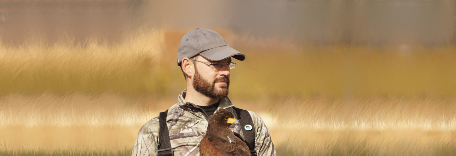 Asociación Española de cetrería y conservación de aves rapaces