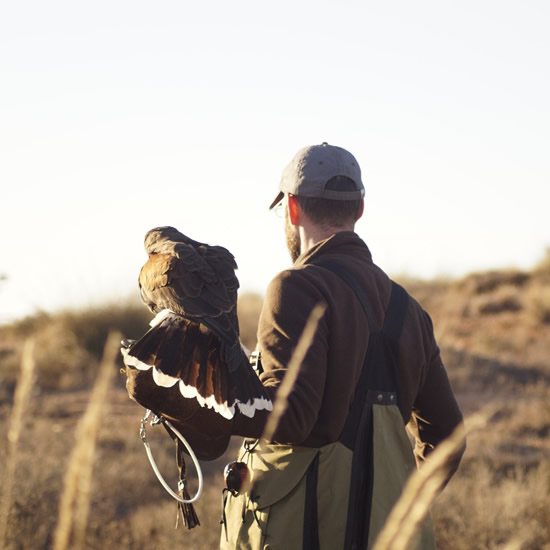 Asociación Española de cetrería y conservación de aves rapaces